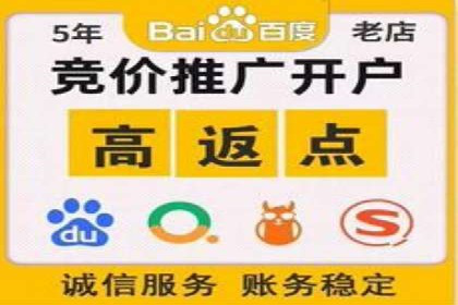 探索SEM竞价员的核心工作与案例分析